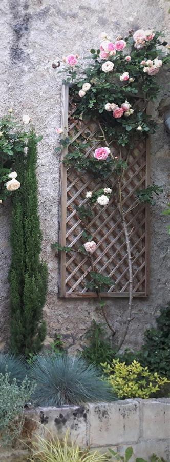 Hotel De Biencourt Azay-le-Rideau Eksteriør bilde